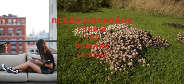 MESCALINE Балабаново