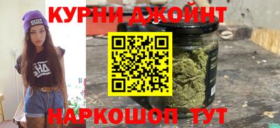 дмт Аргун
