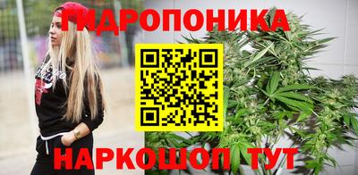 дмт Аргун