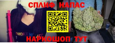 дмт Аргун