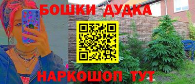 дмт Аргун
