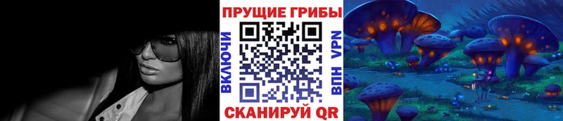 Галлюциногенные грибы Psilocybine cubensis  Белово 
