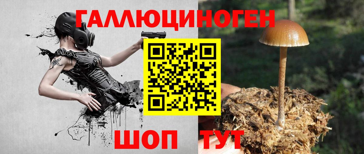 Галлюциногенные грибы ЛСД Белово